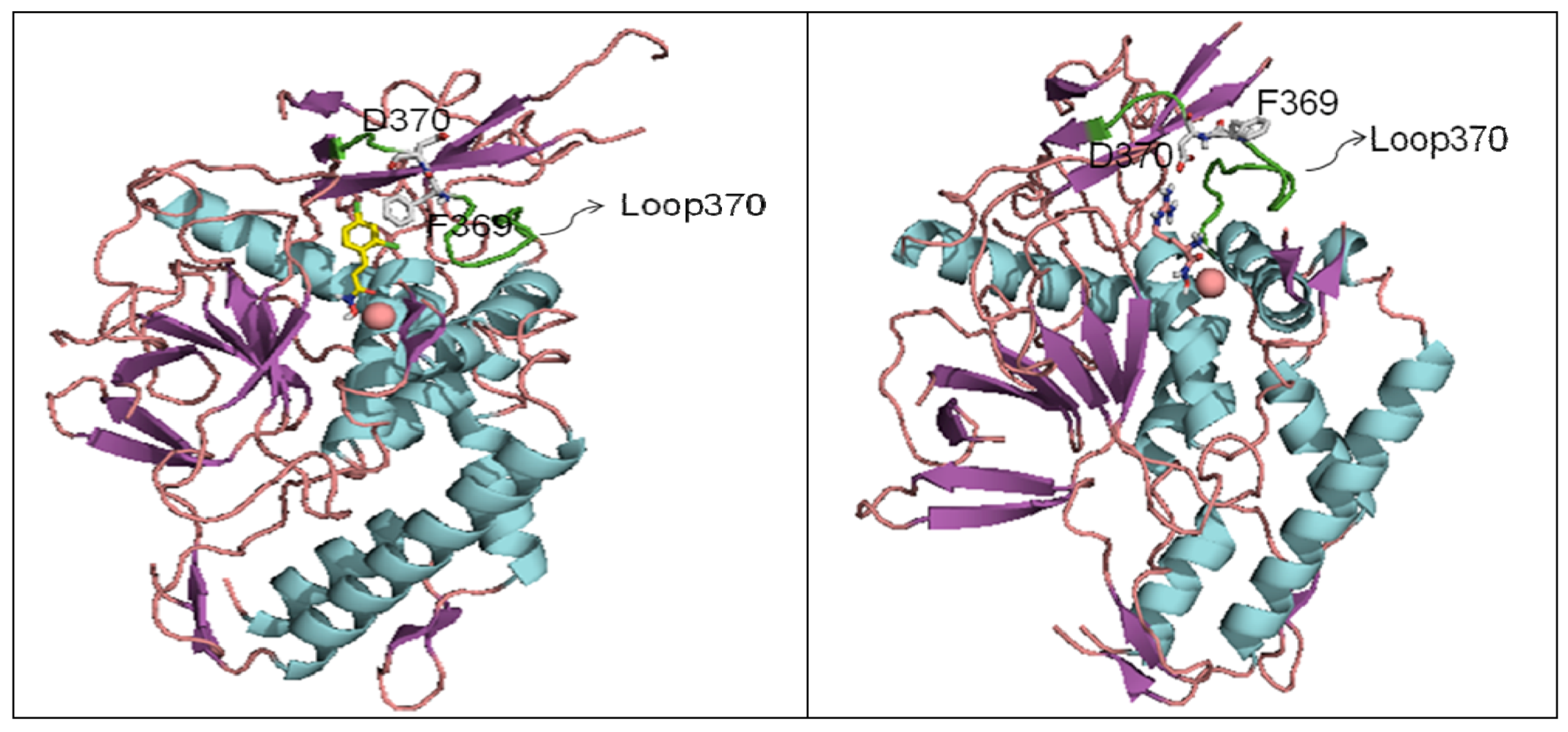 Molecules 16 00202 g007