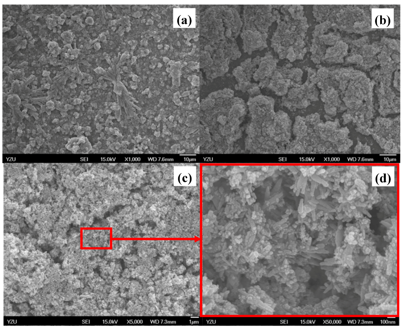 Molecules 16 00348 g001