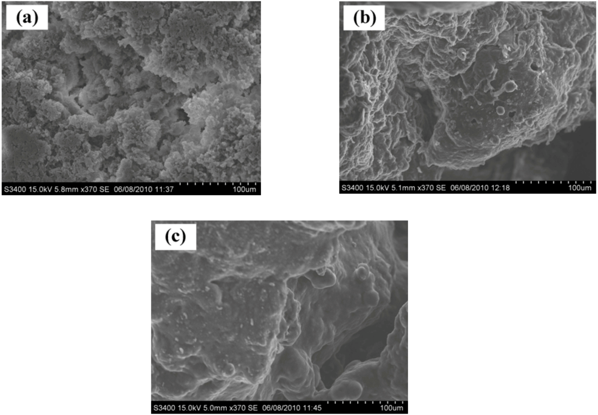 Molecules 16 00373 g002