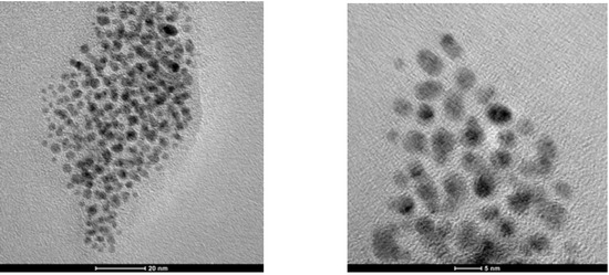 Molecules 16 00427 g004 550