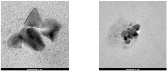 Molecules 16 00427 g007 550