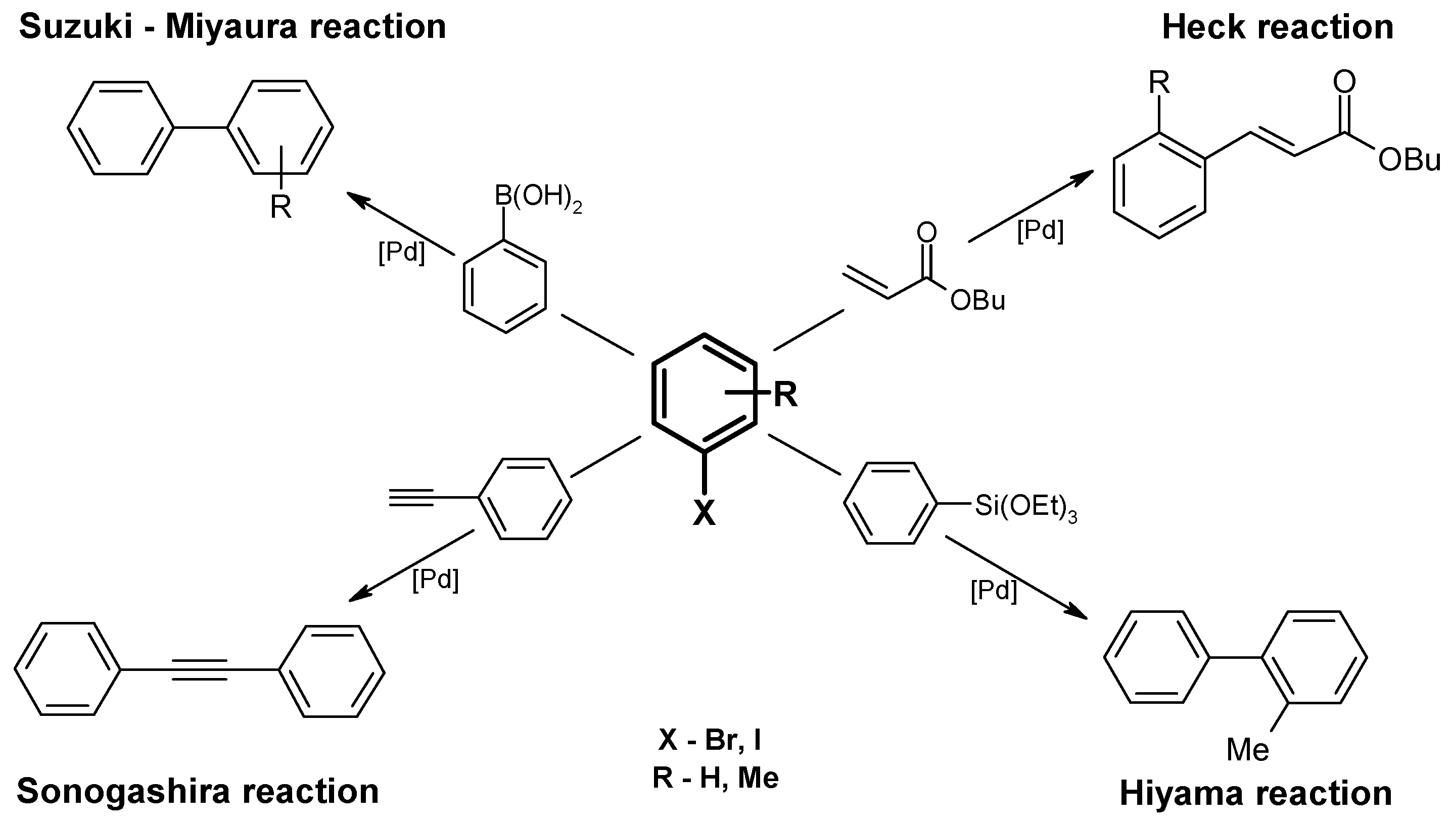 Molecules 16 00427 g008