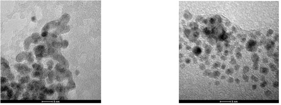 Molecules 16 00427 g011 550