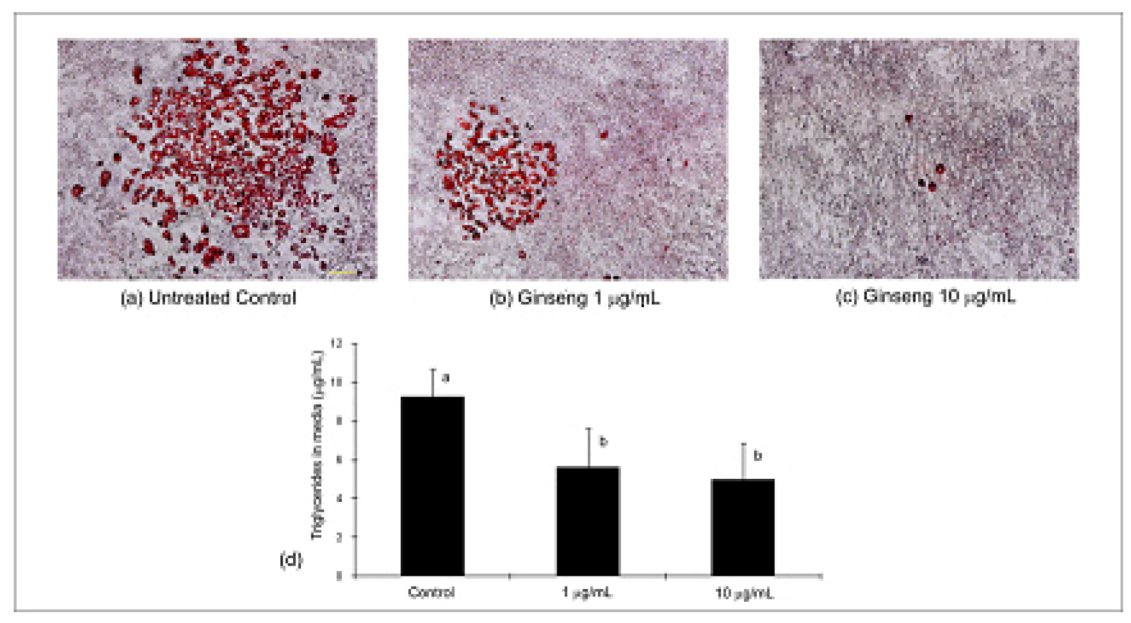 Molecules 16 00477 g005