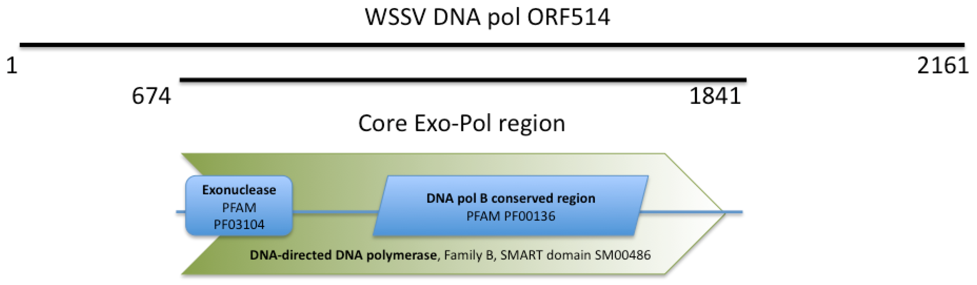 Molecules 16 00532 g001