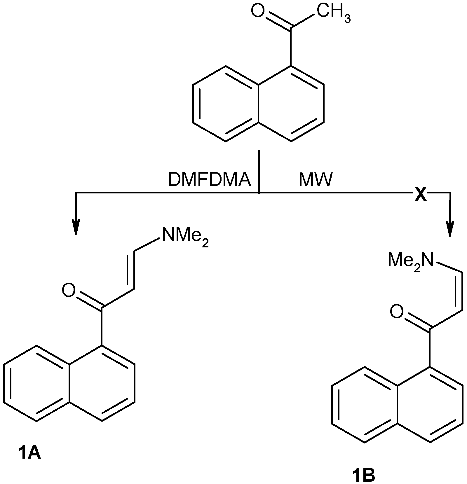 Molecules 16 00609 g001