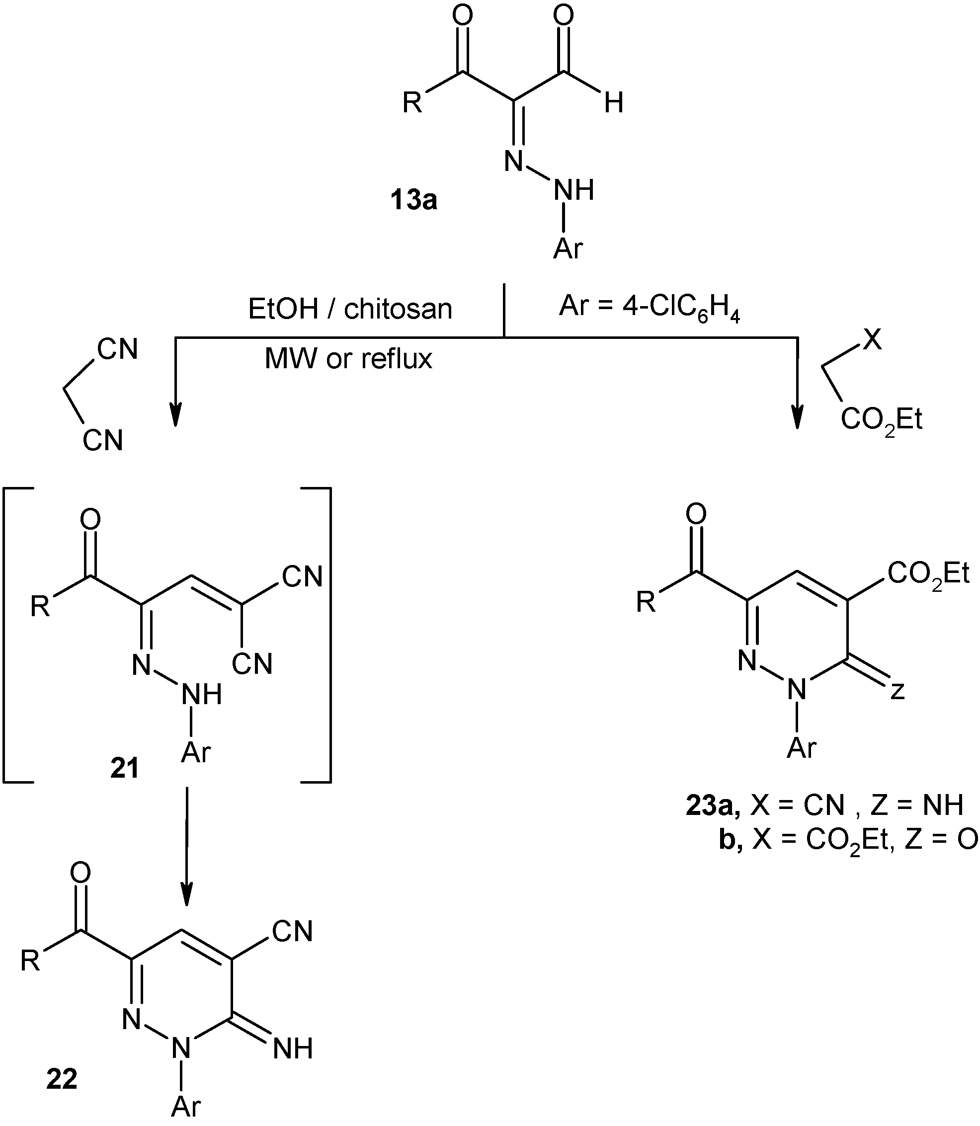 Molecules 16 00609 g007
