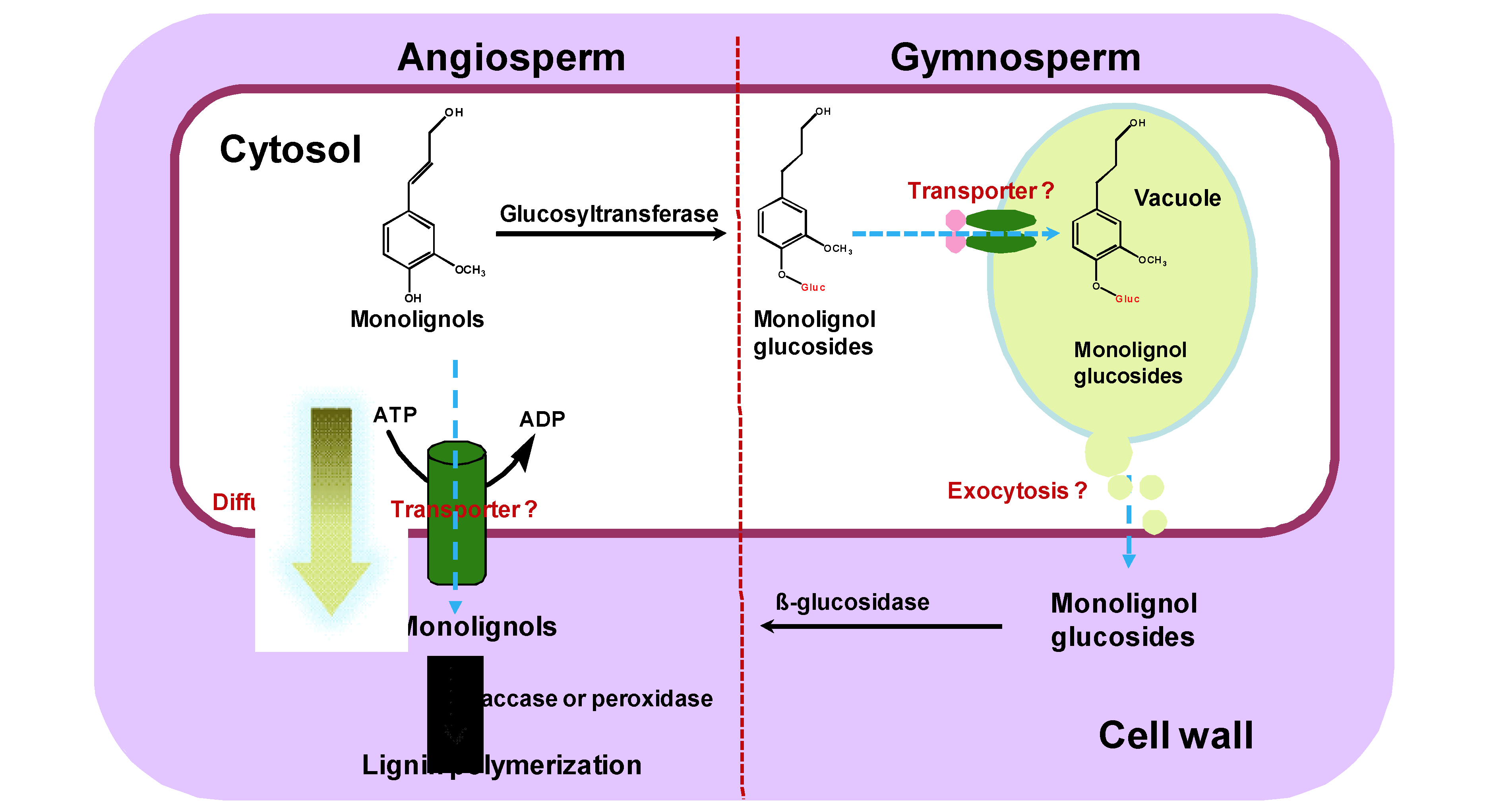 Molecules 16 00710 g001