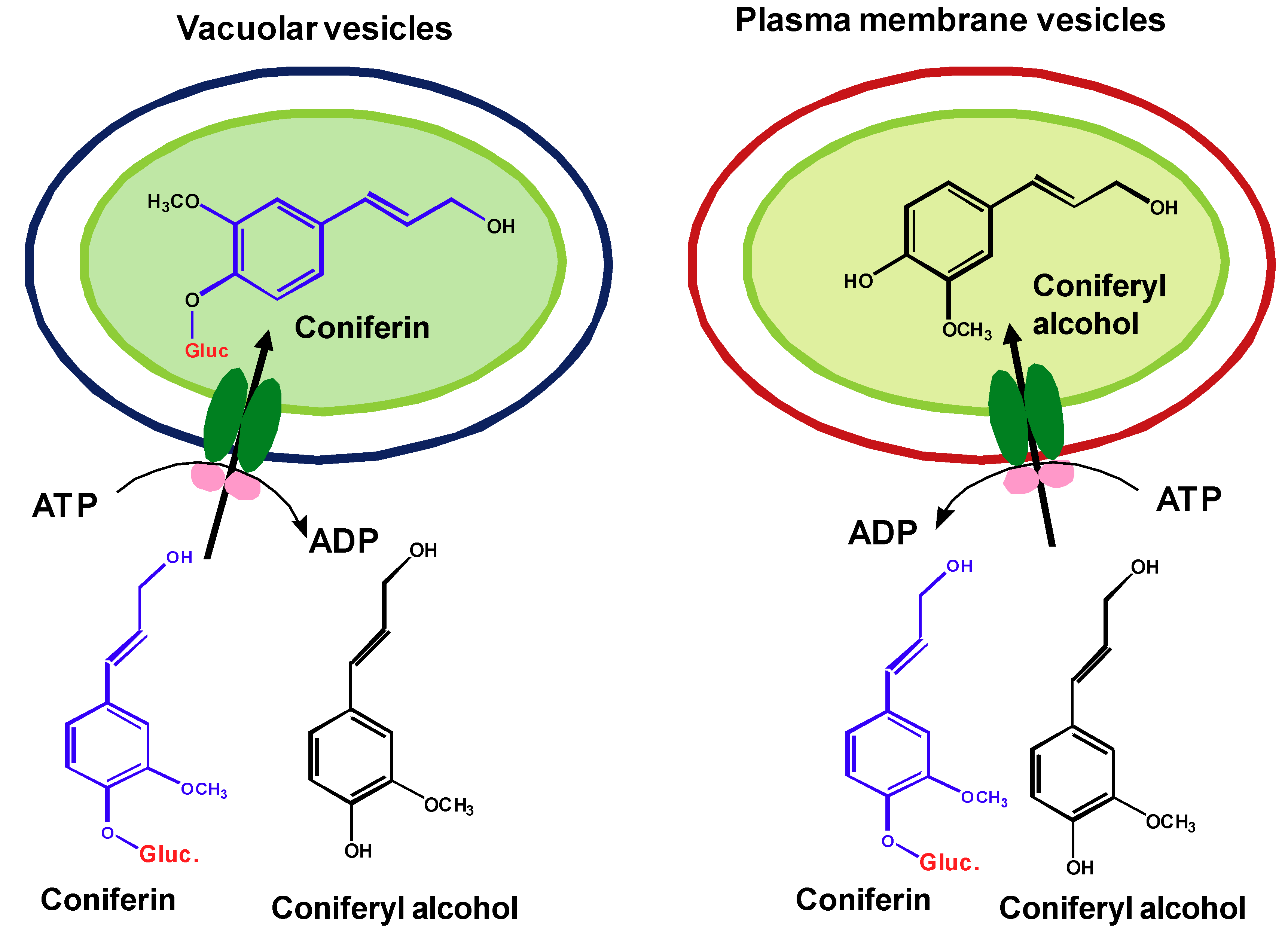 Molecules 16 00710 g002