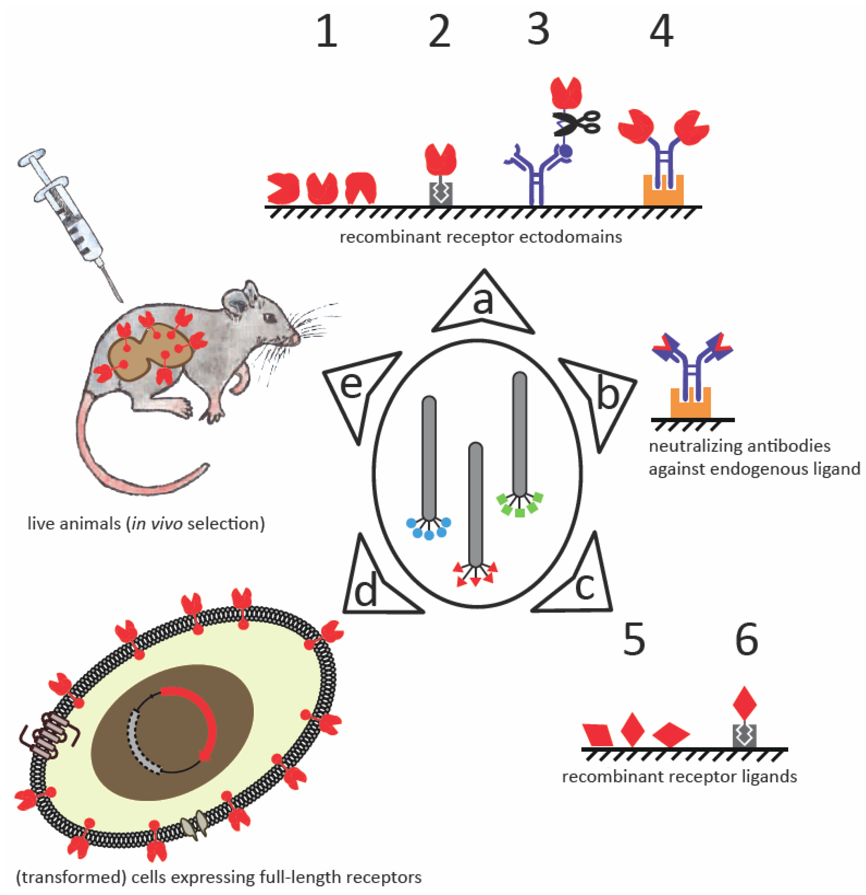Molecules 16 00857 g001