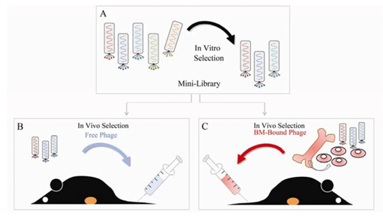 Molecules 16 00900 g001 550