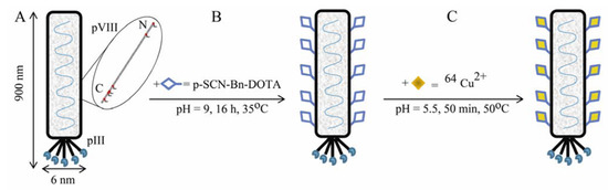 Molecules 16 00900 g005 550