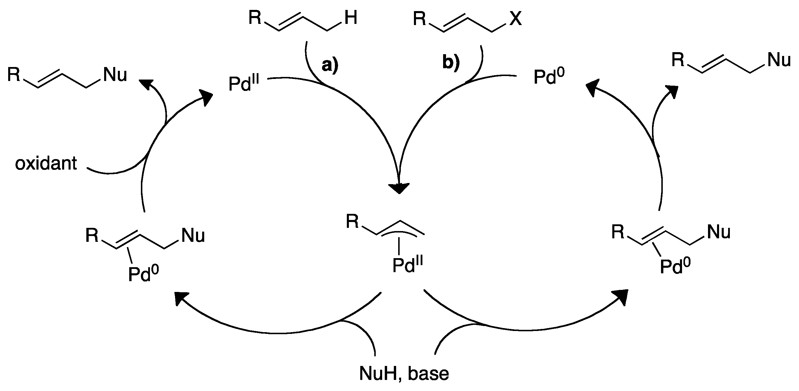 Molecules 16 00951 sch002