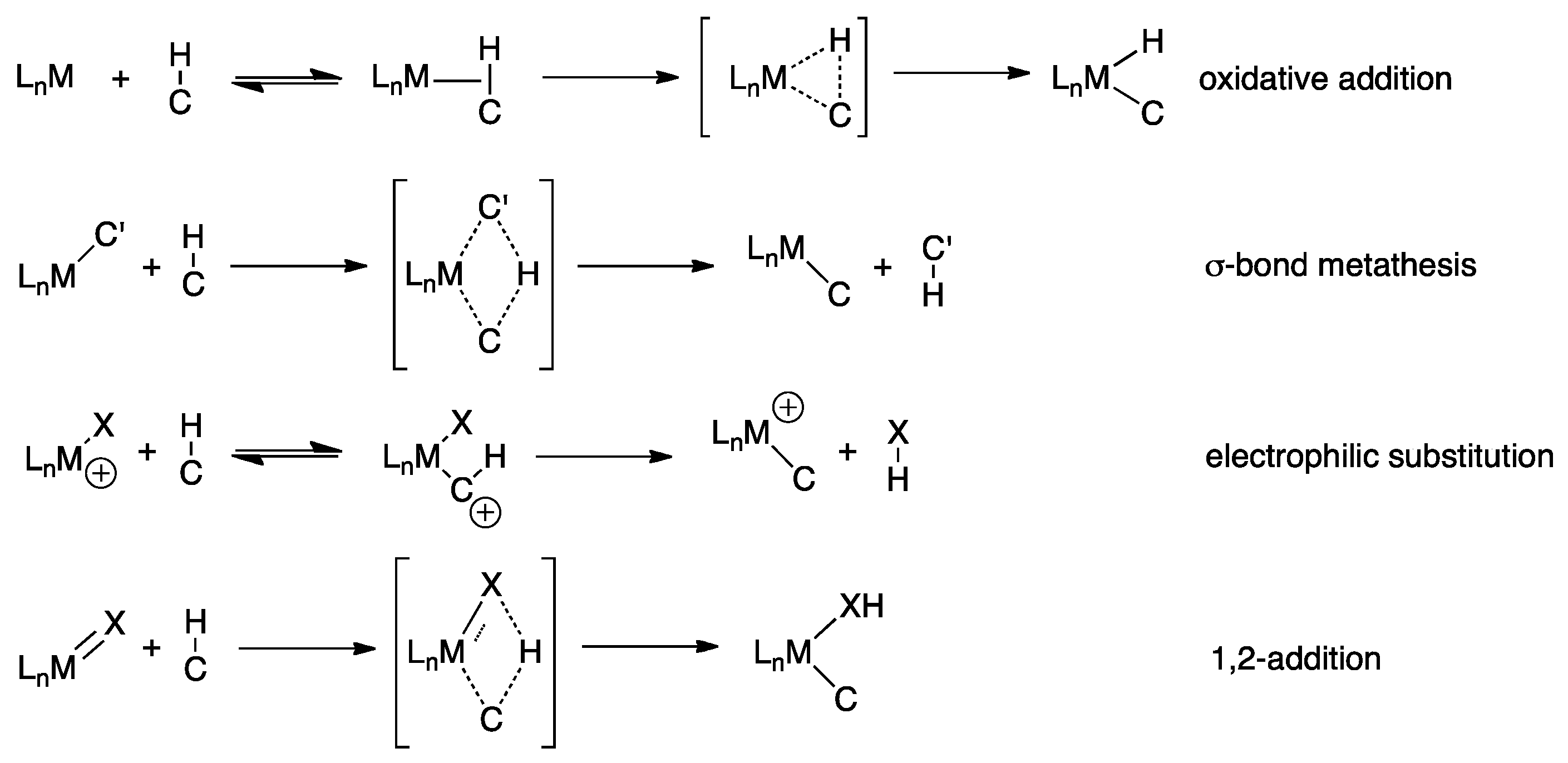 Molecules 16 00951 sch003