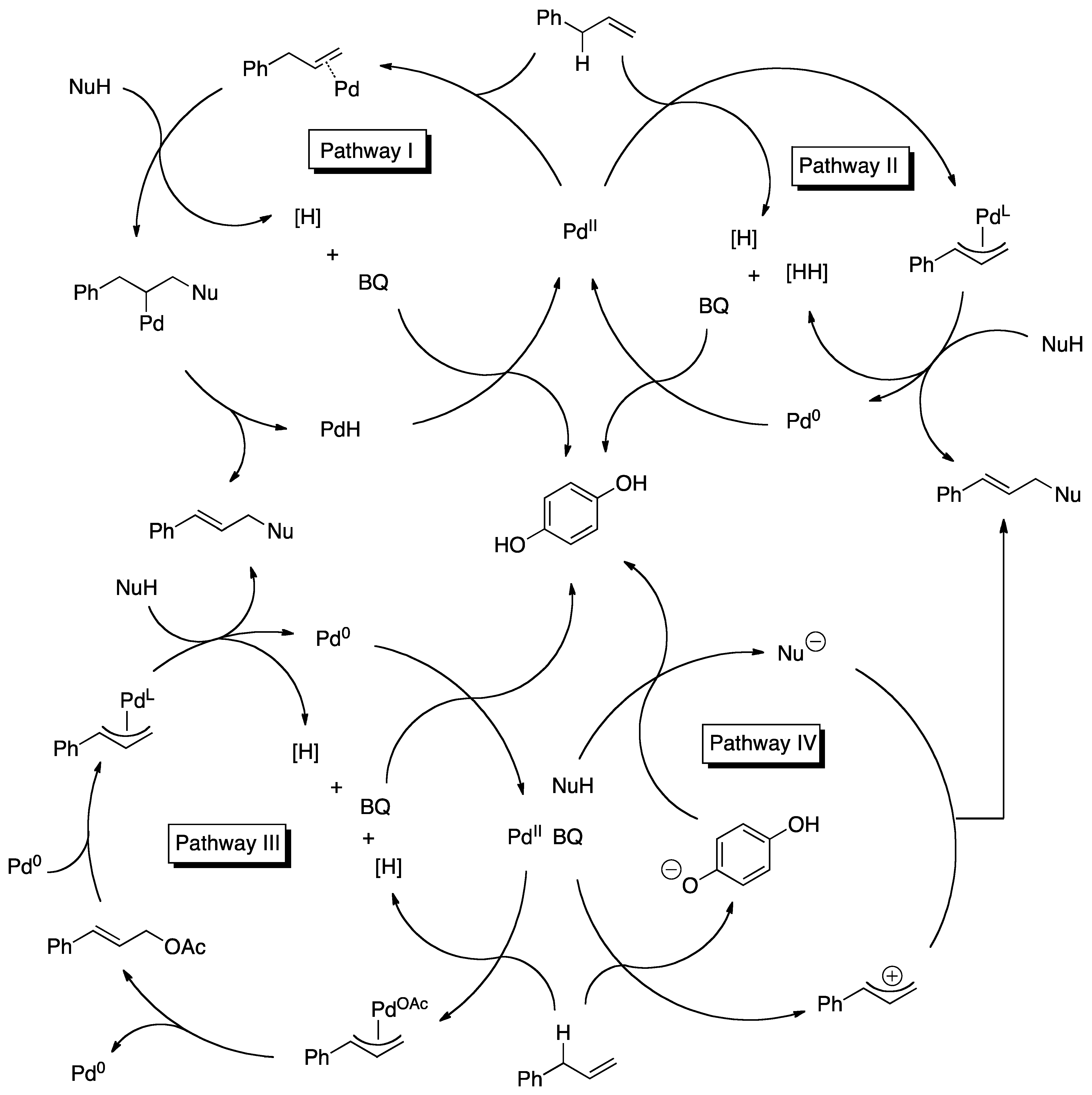 Molecules 16 00951 sch008