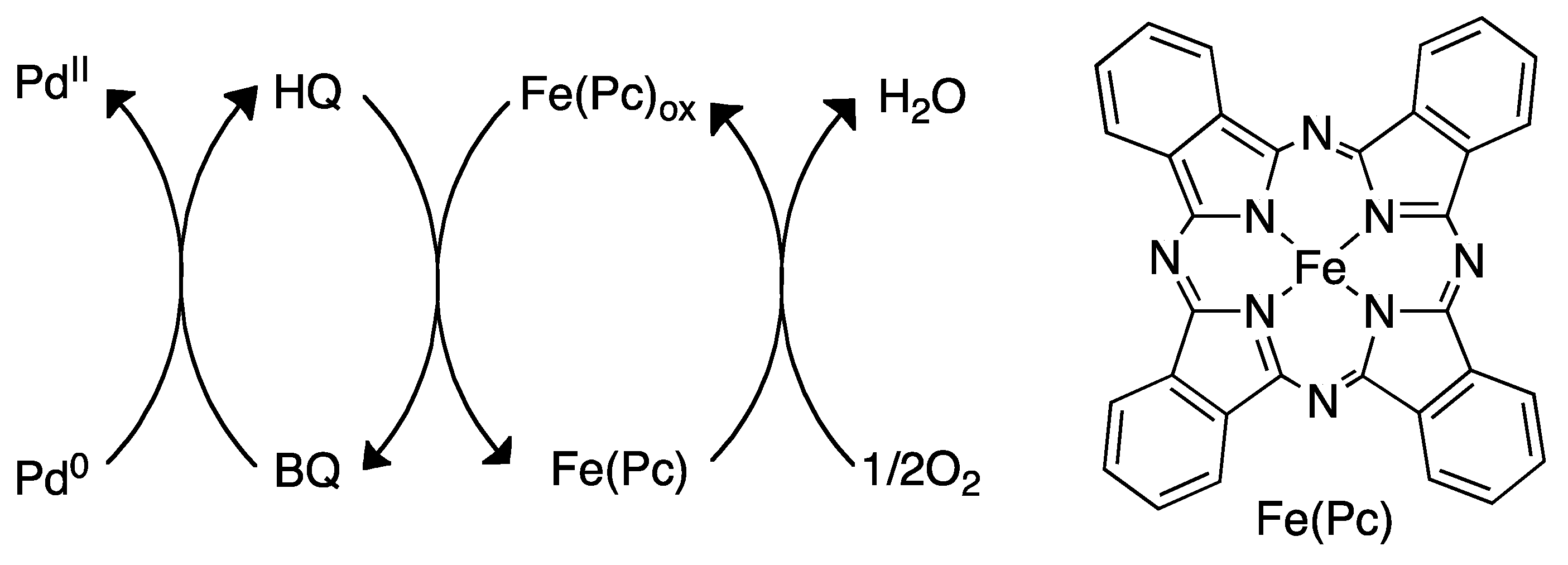 Molecules 16 00951 sch017