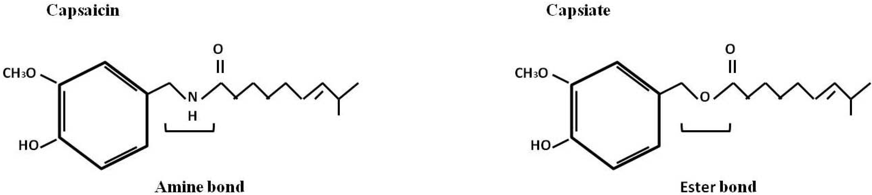 Molecules 16 01253 g004