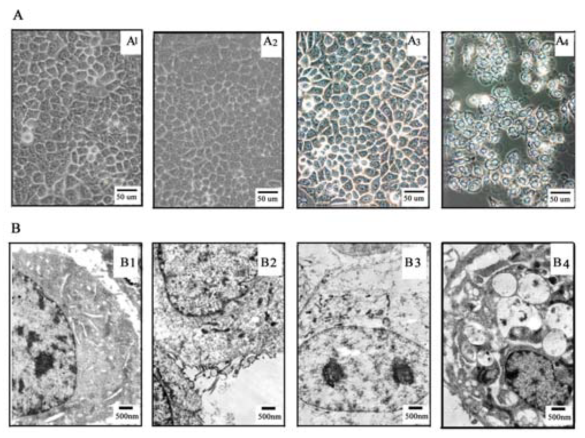 Molecules 16 01389 g004