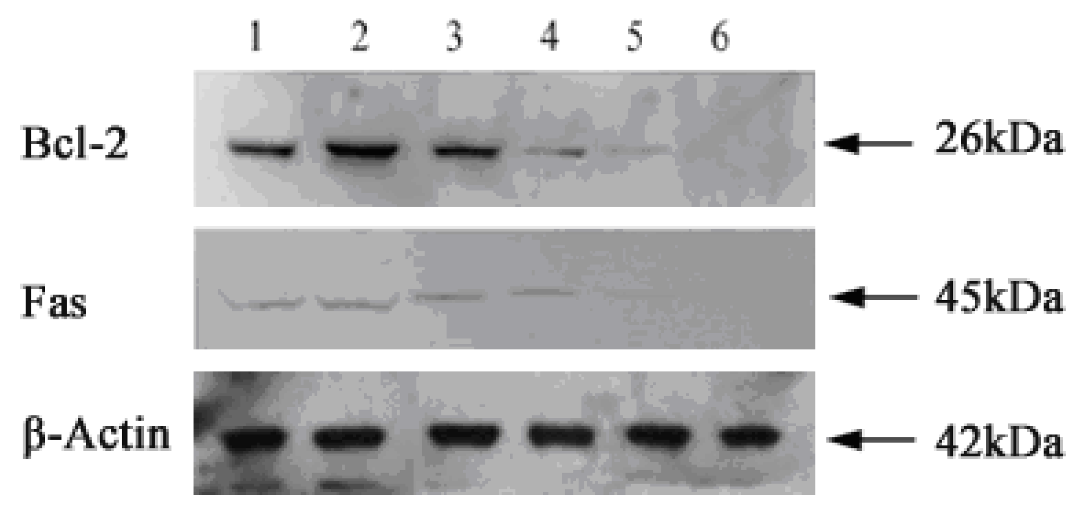 Molecules 16 01389 g007