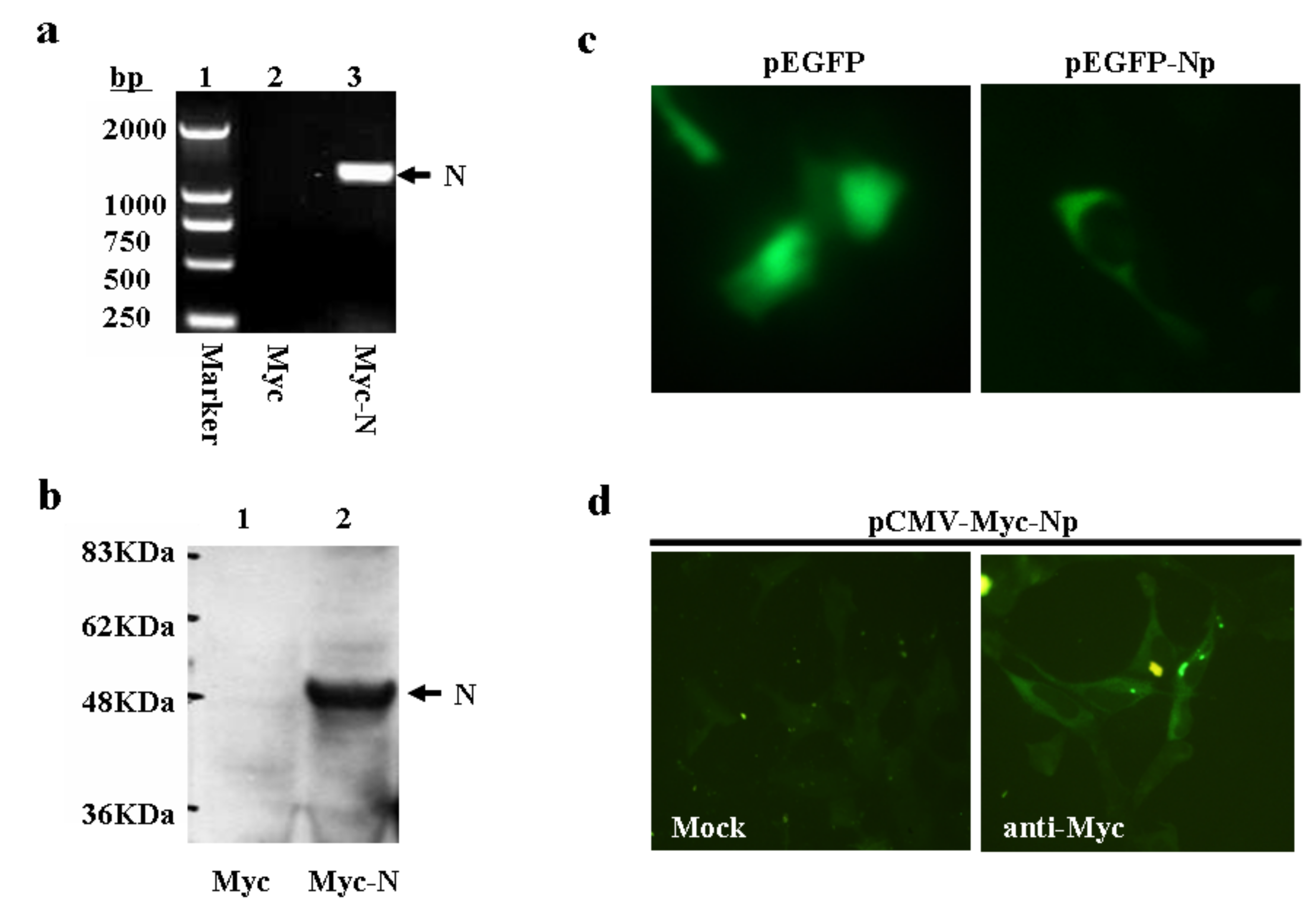 Molecules 16 01544 g002