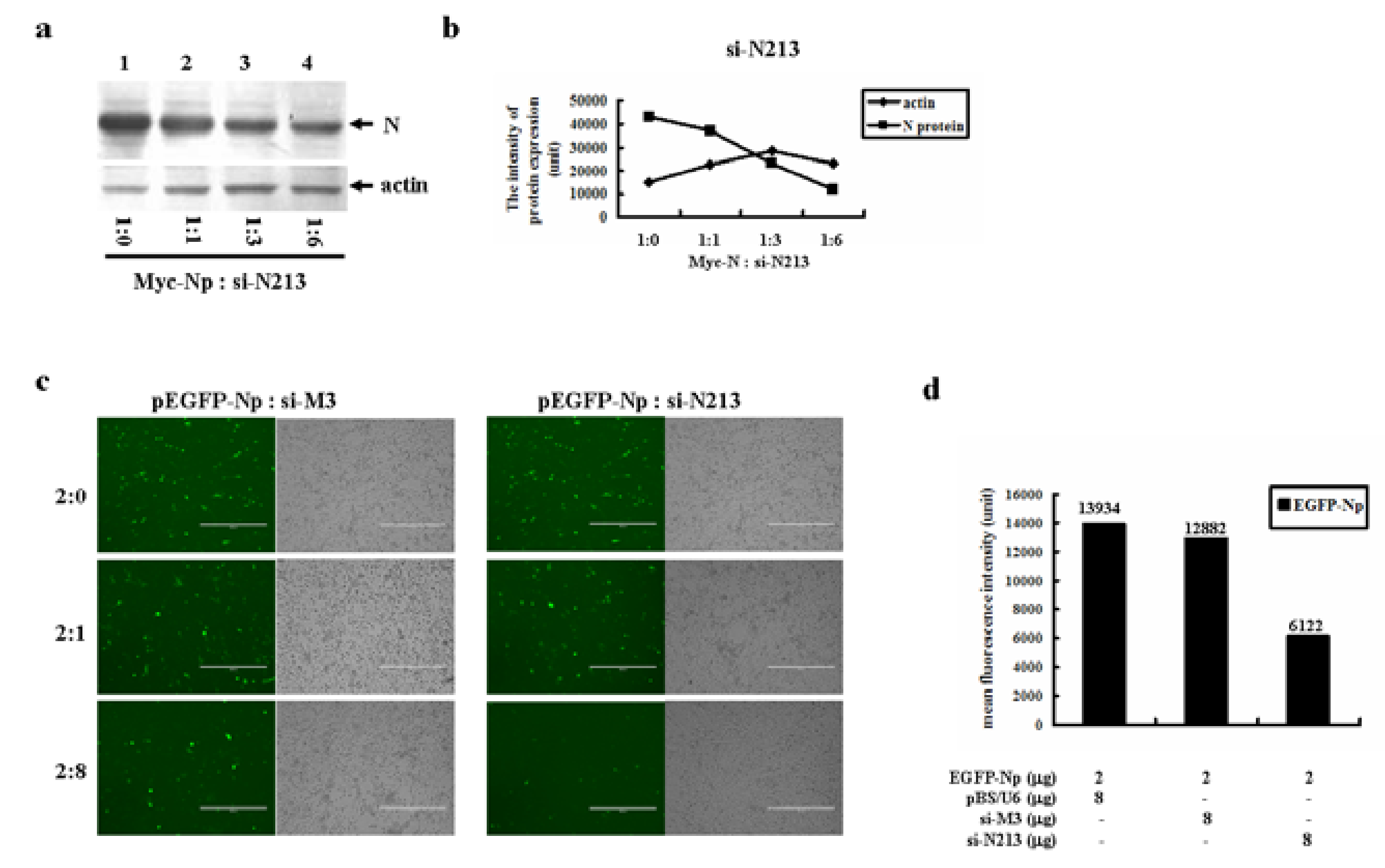 Molecules 16 01544 g004