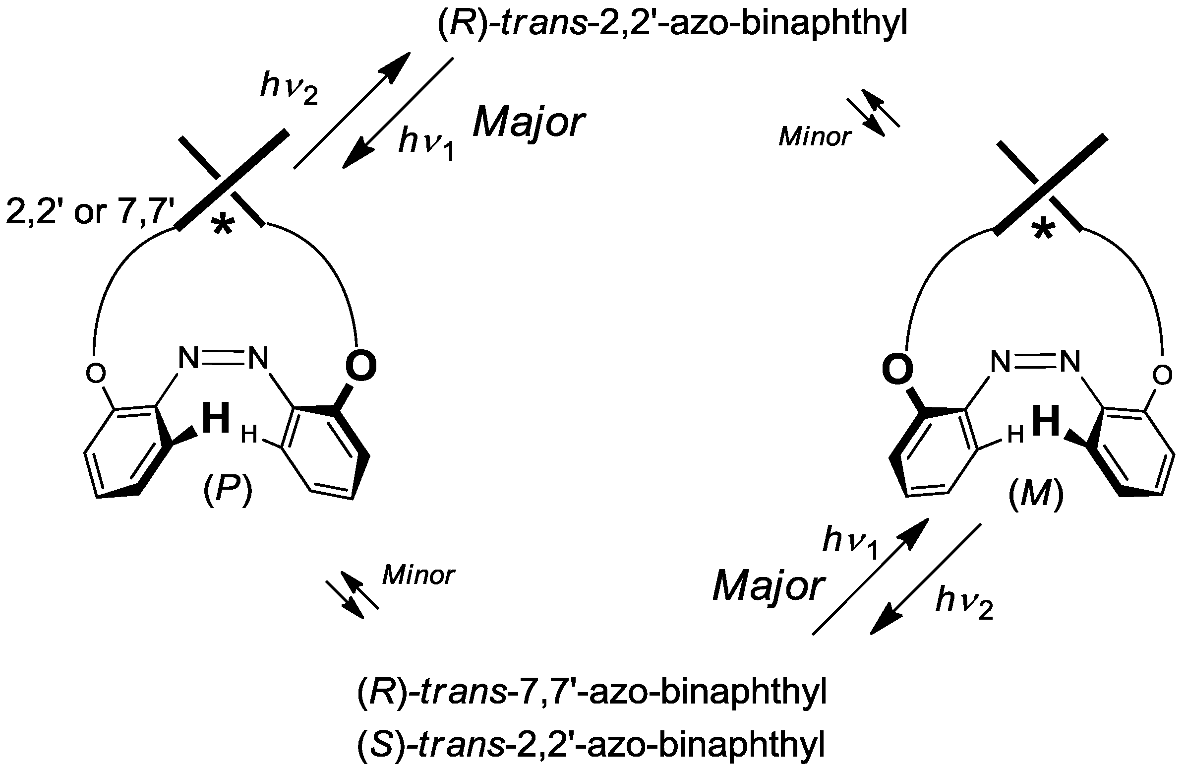 Molecules 16 01603 g015