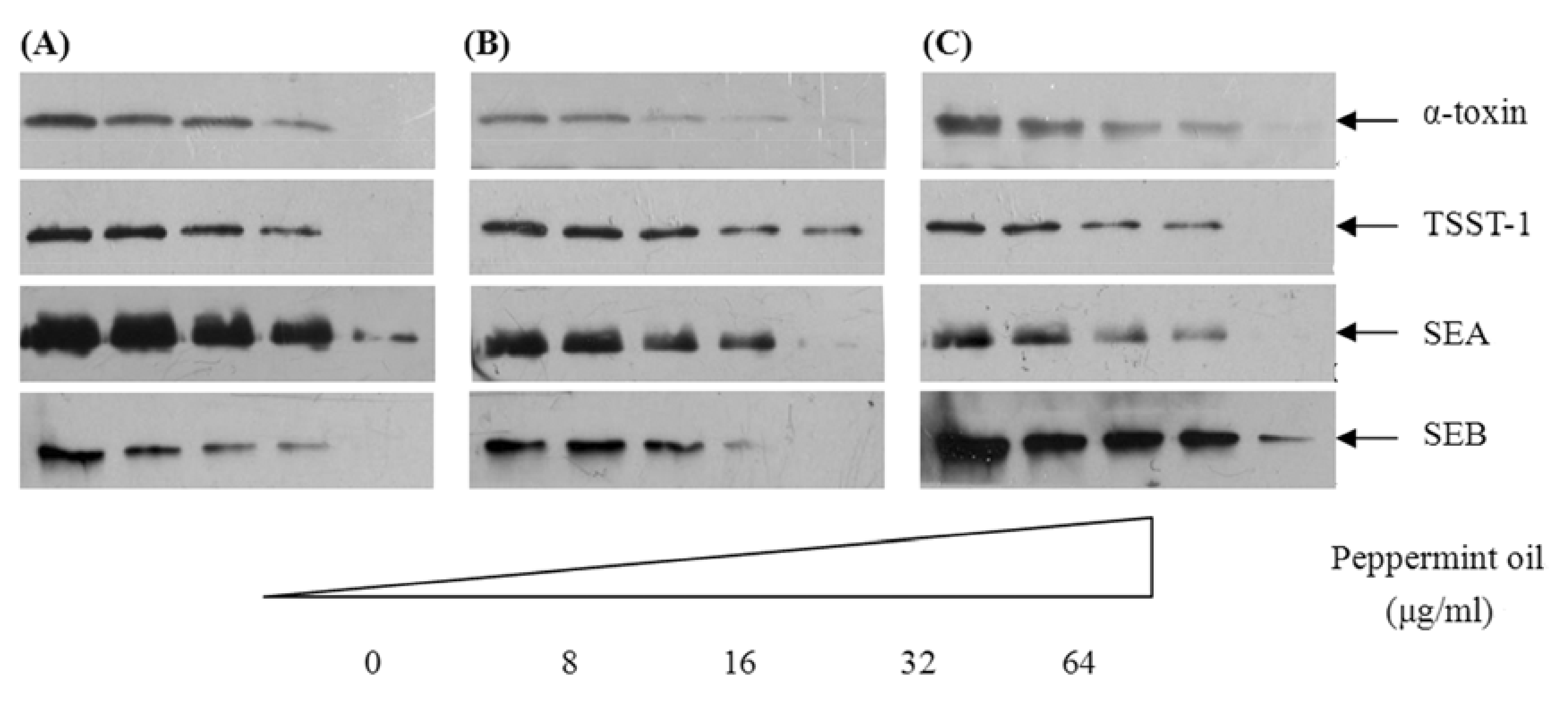 Molecules 16 01642 g002 Molecules 16 01642 g002
