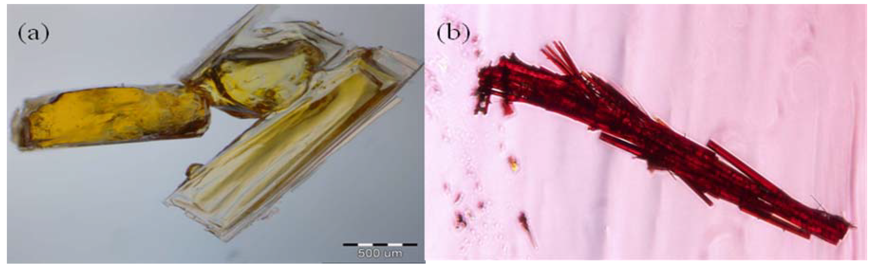 Molecules 16 01655 g003