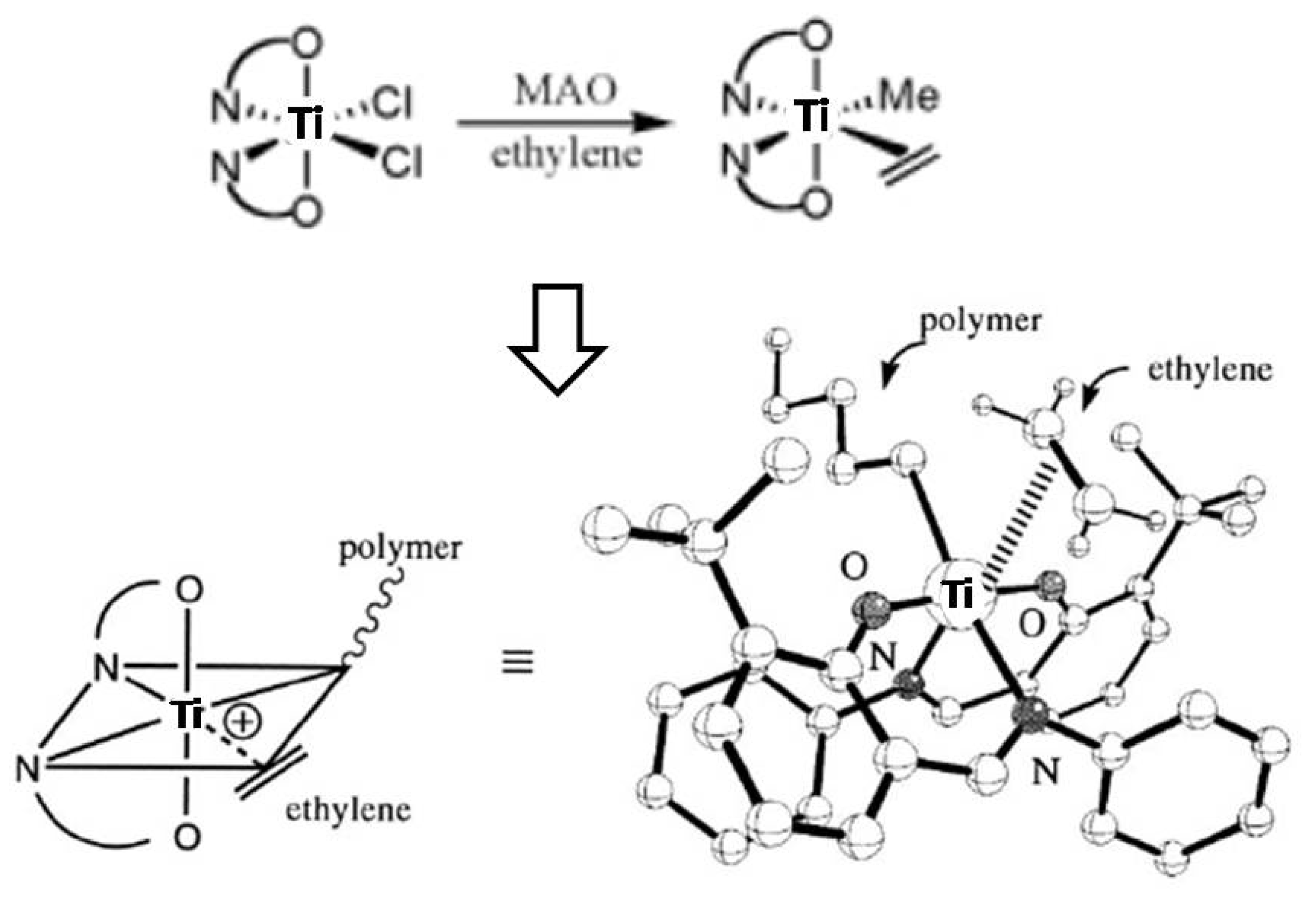 Molecules 16 01655 g004
