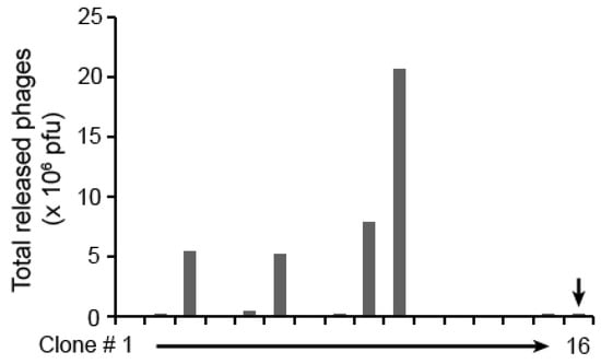 Molecules 16 01739 g004 550
