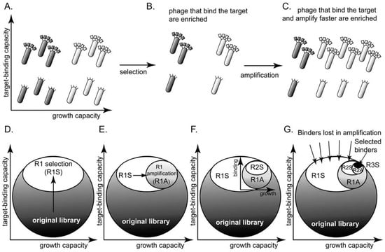 Molecules 16 01776 g001 550