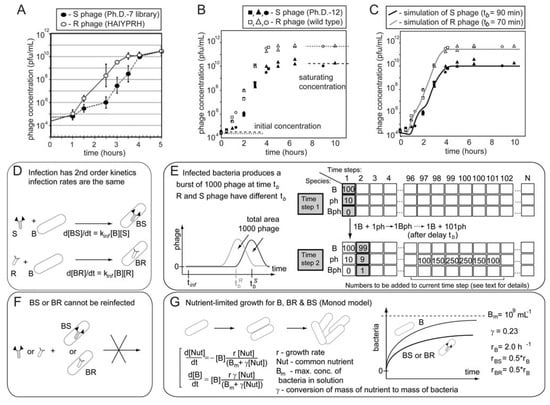 Molecules 16 01776 g006 550