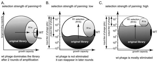 Molecules 16 01776 g008 550