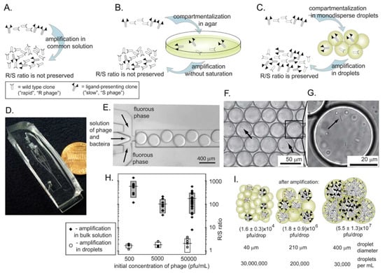 Molecules 16 01776 g009 550