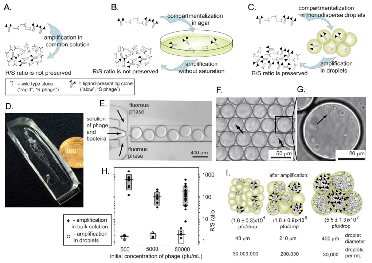 Molecules 16 01776 g009