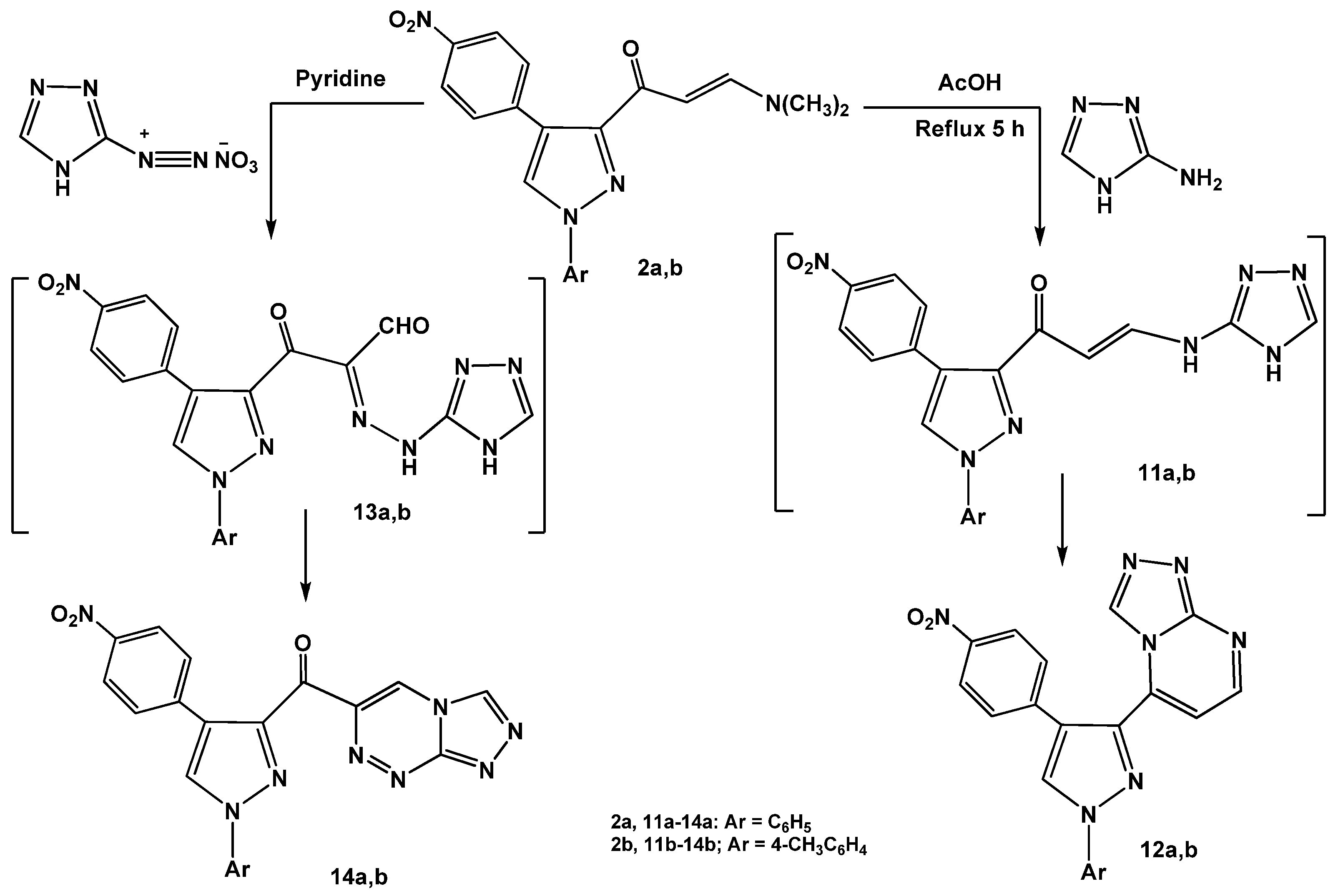 Molecules 16 01834 g014