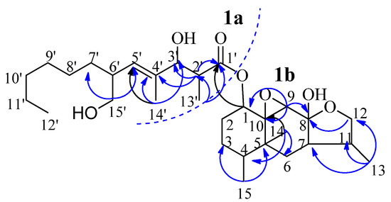 Molecules 16 01910 g002 550