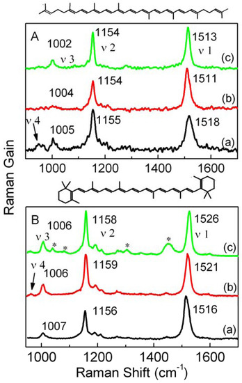 Molecules 16 01973 g001 550