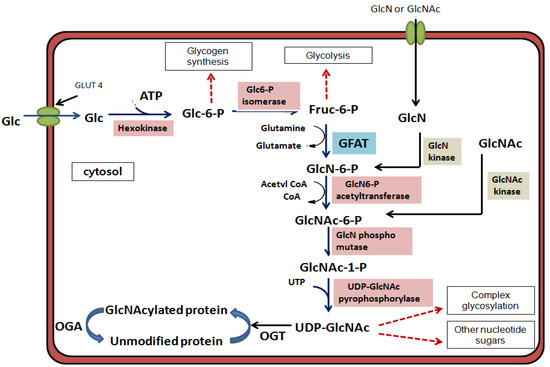 Molecules 16 01987 g001 550