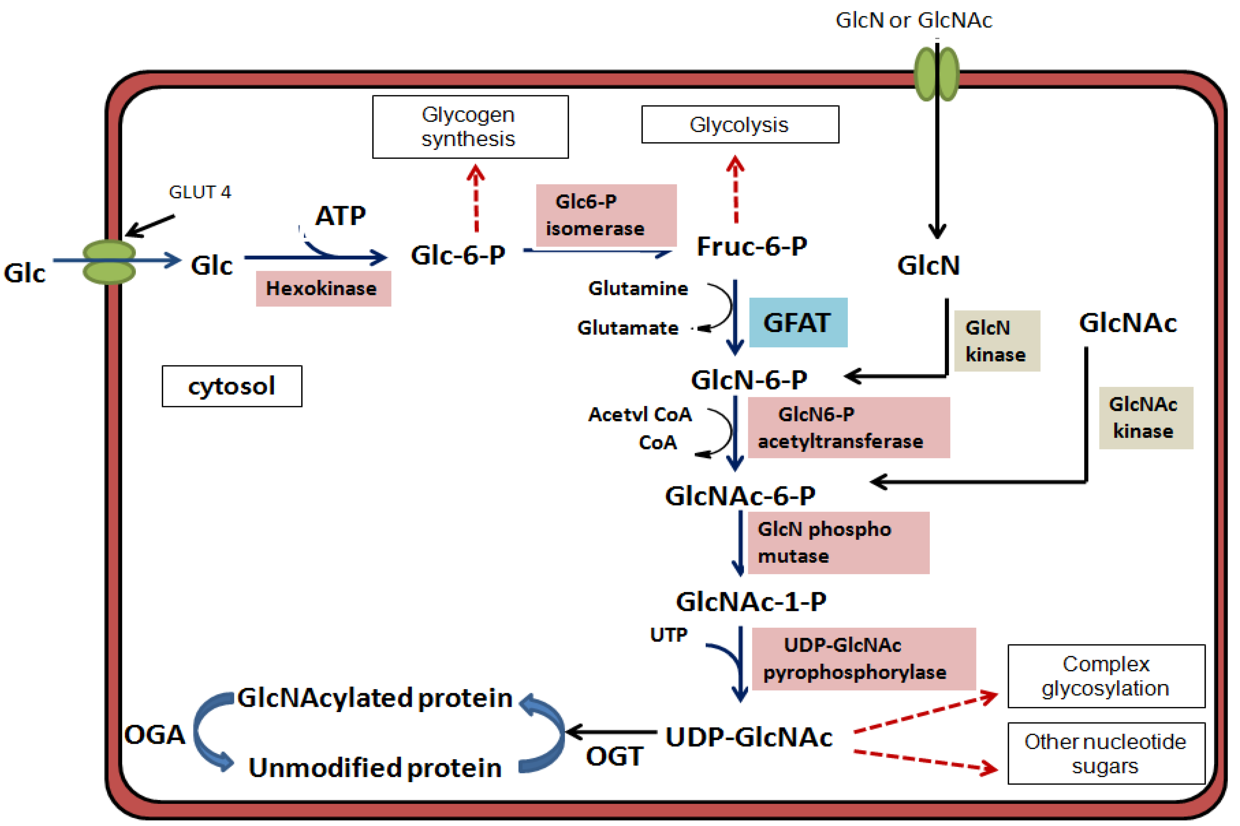 Molecules 16 01987 g001