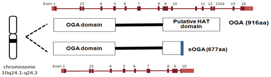 Molecules 16 01987 g007 550