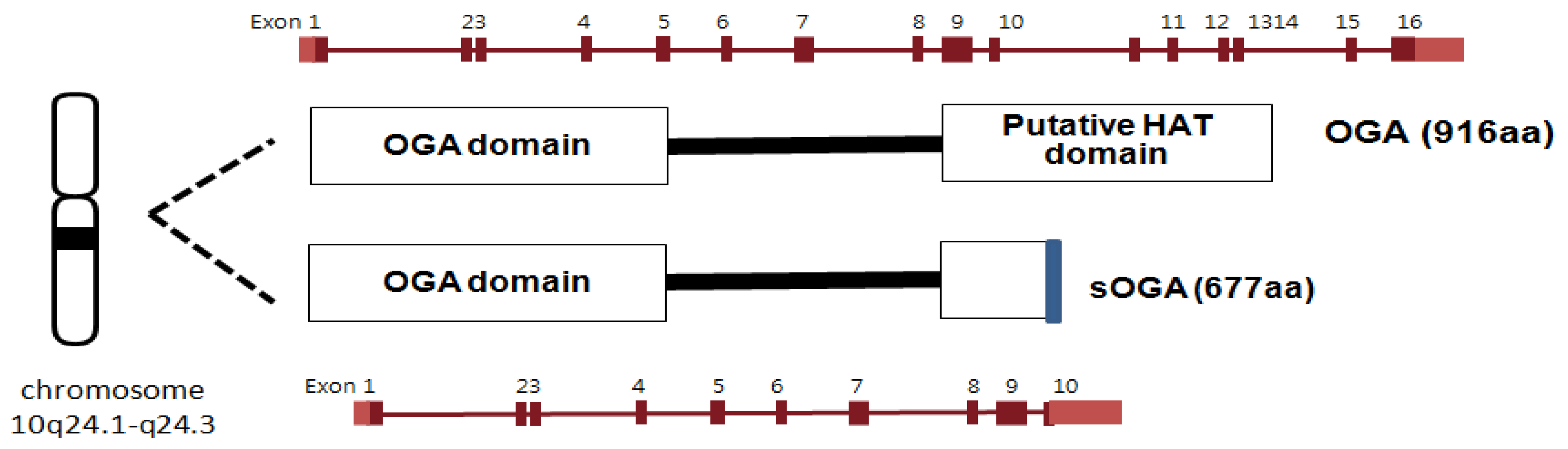 Molecules 16 01987 g007