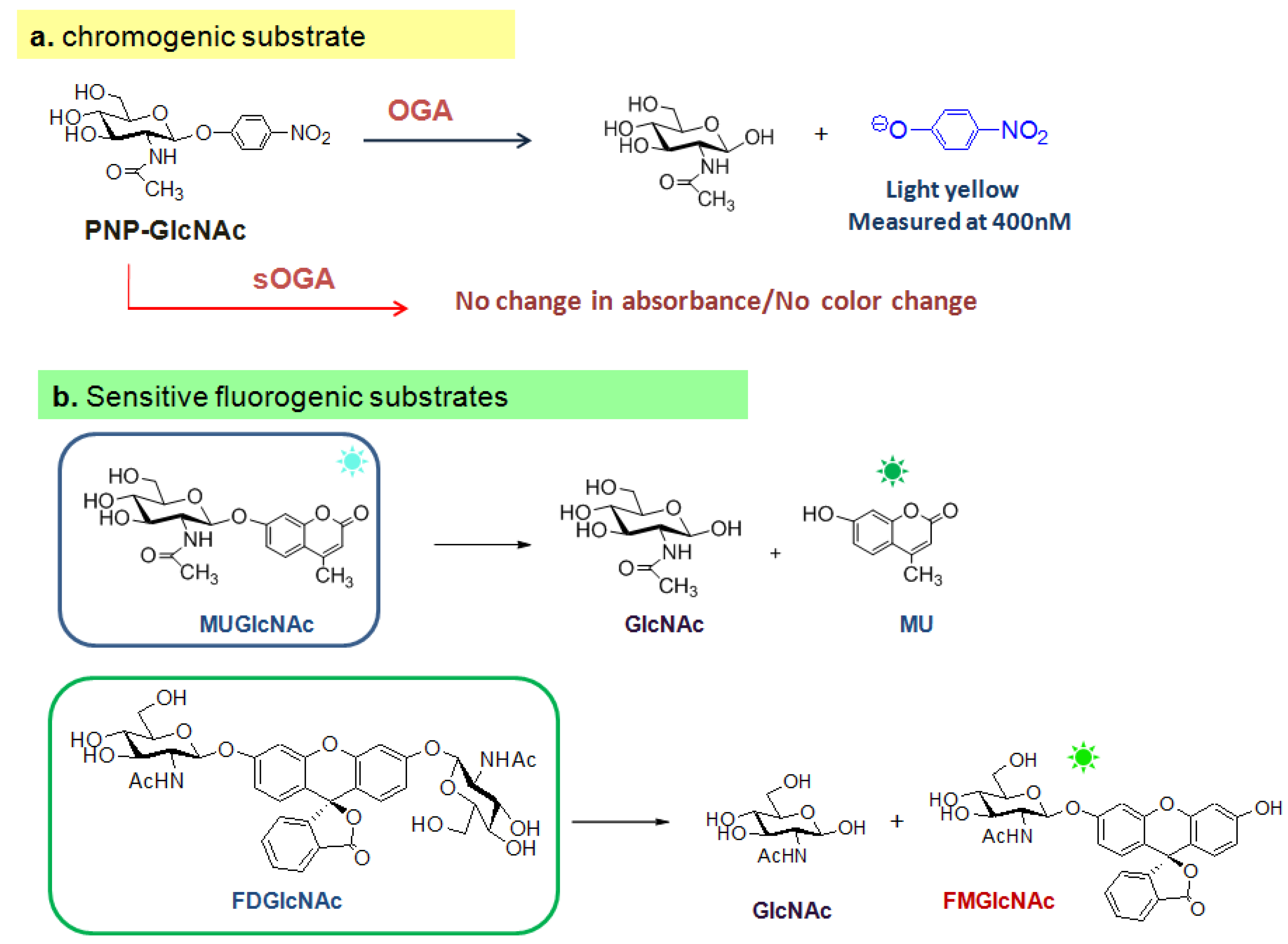 Molecules 16 01987 g008
