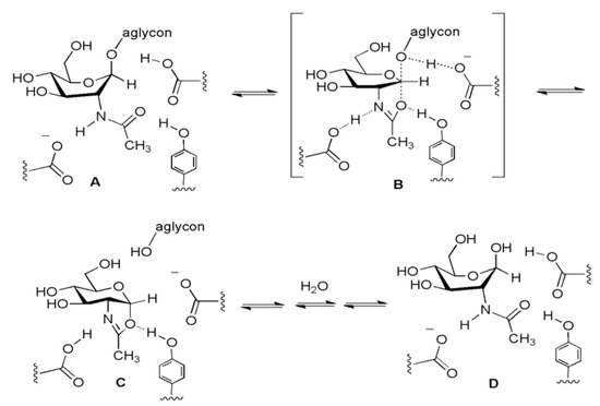 Molecules 16 01987 g009 550