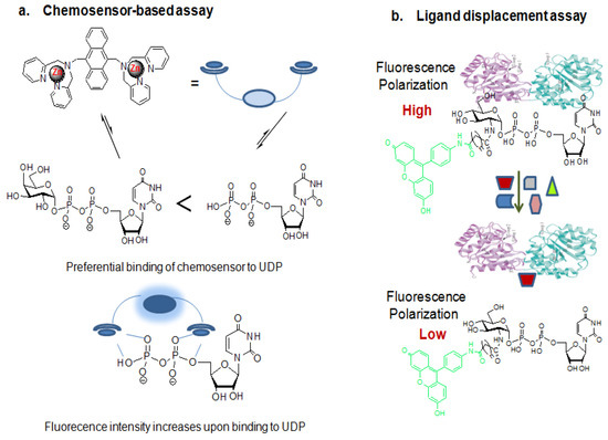 Molecules 16 01987 g012 550