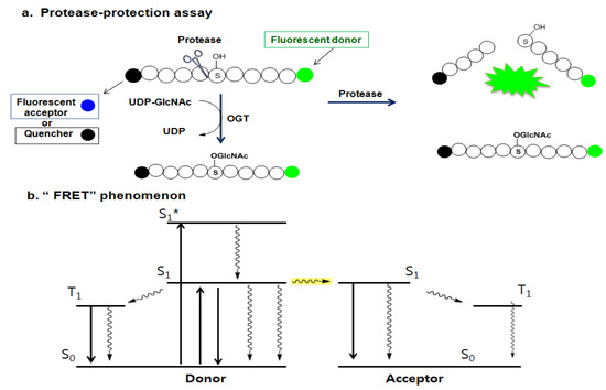 Molecules 16 01987 g014 550