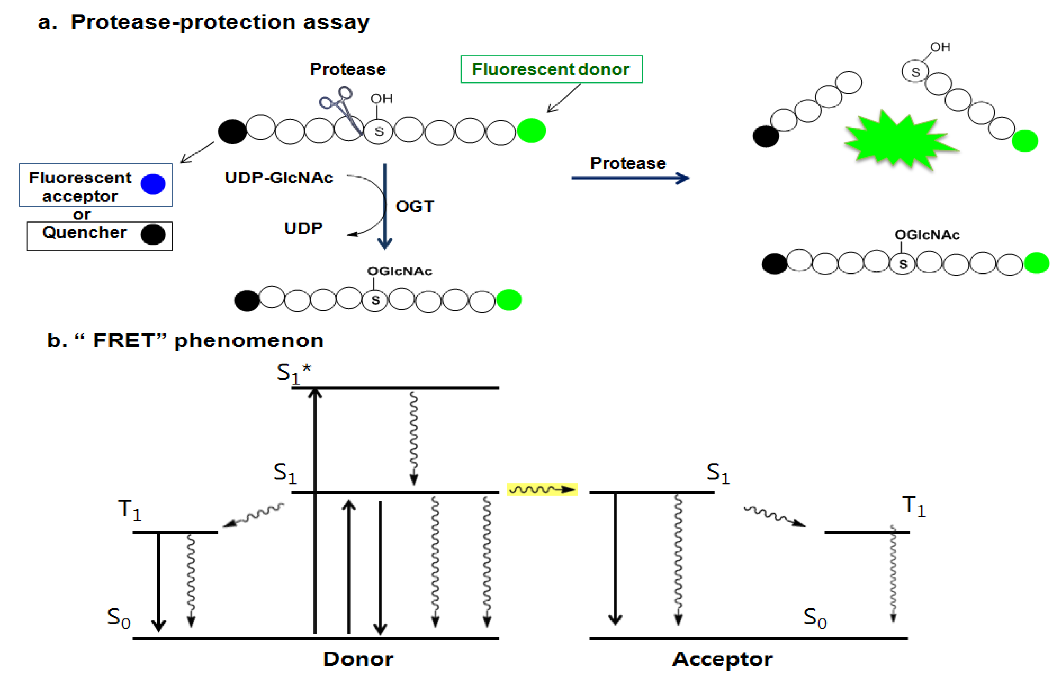 Molecules 16 01987 g014