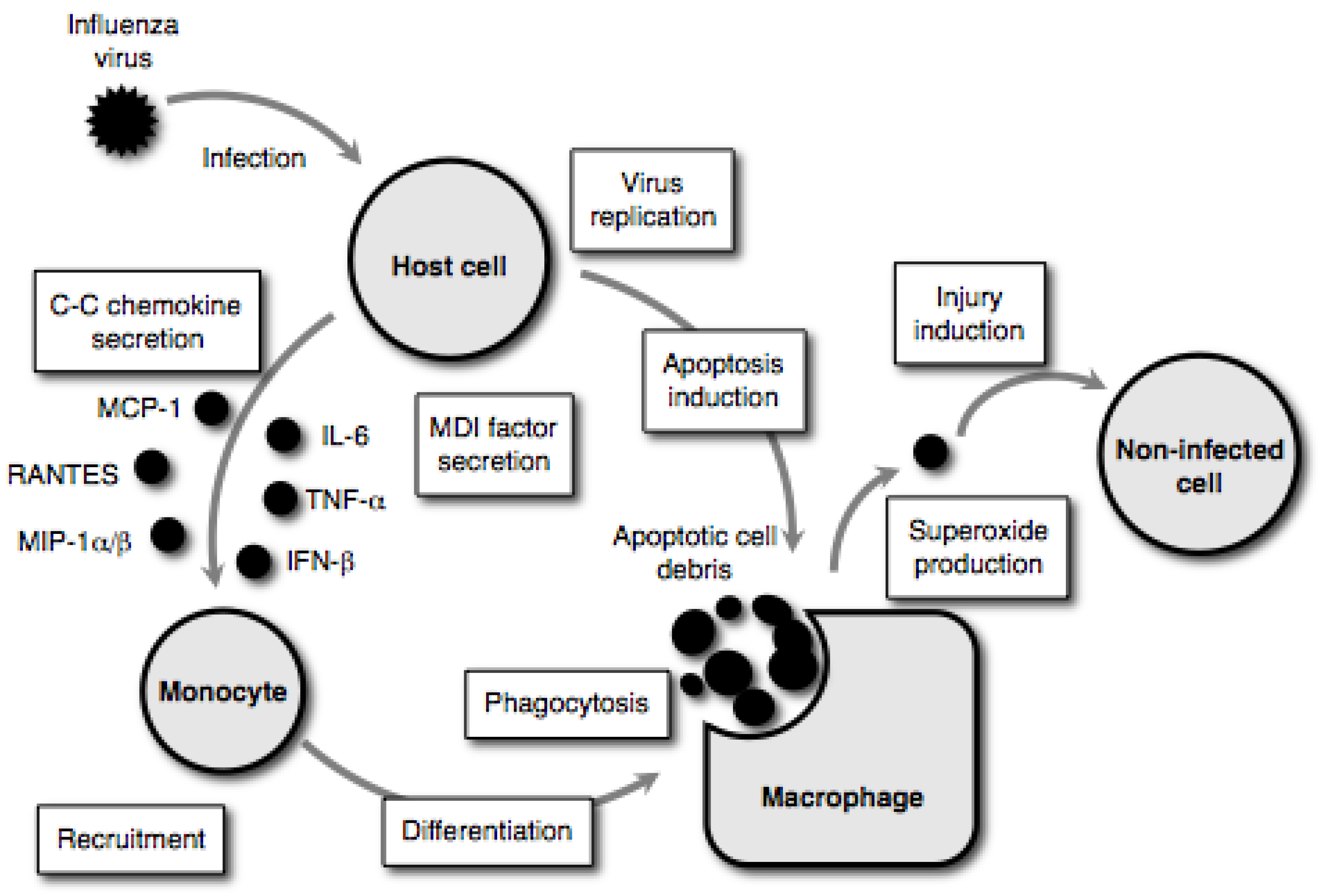 Molecules 16 02032 g002 Molecules 16 02032 g002