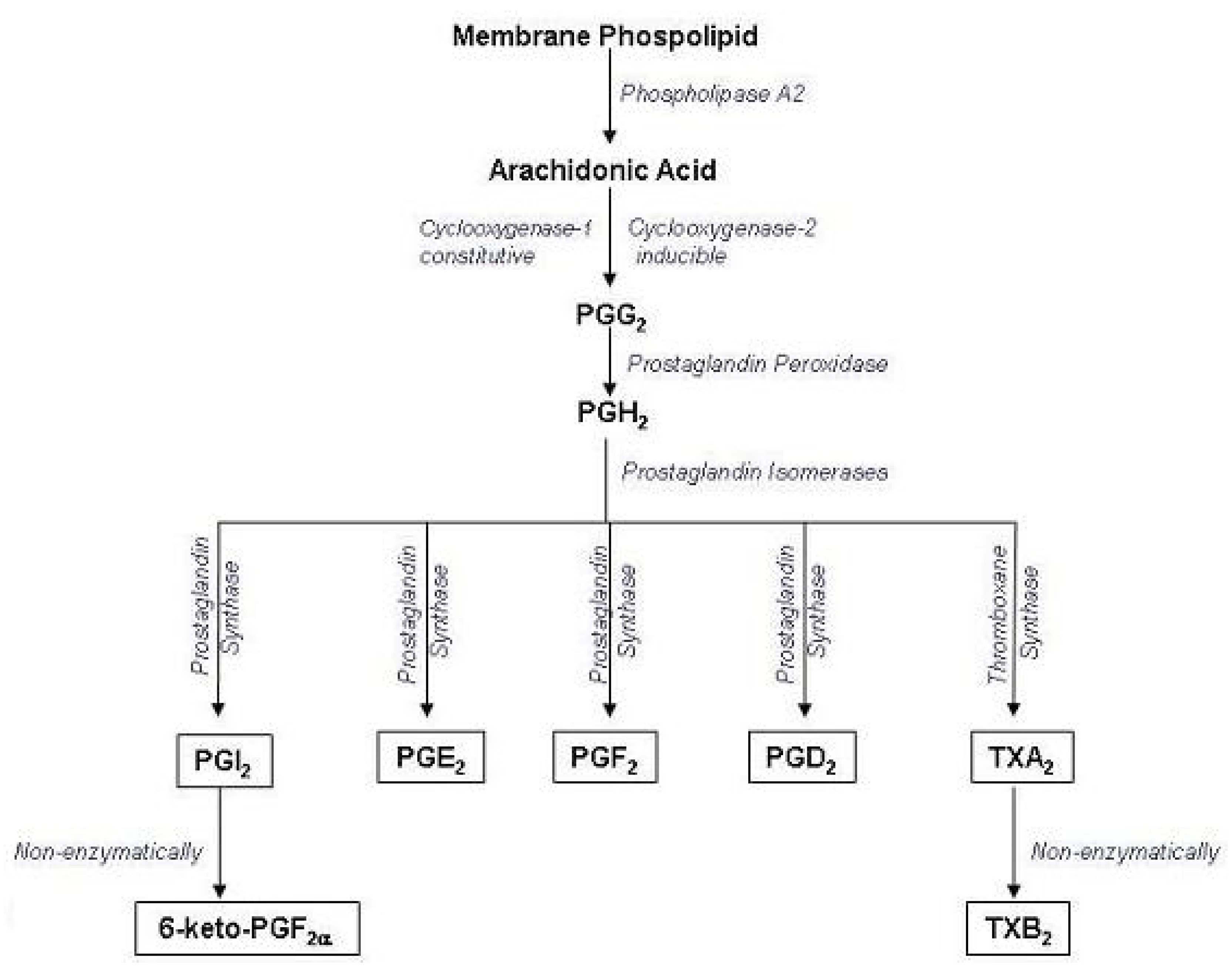 Molecules 16 02053 g005 Molecules 16 02053 g005