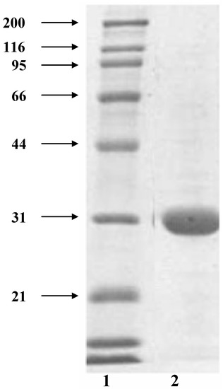 Molecules 16 02107 g001 550